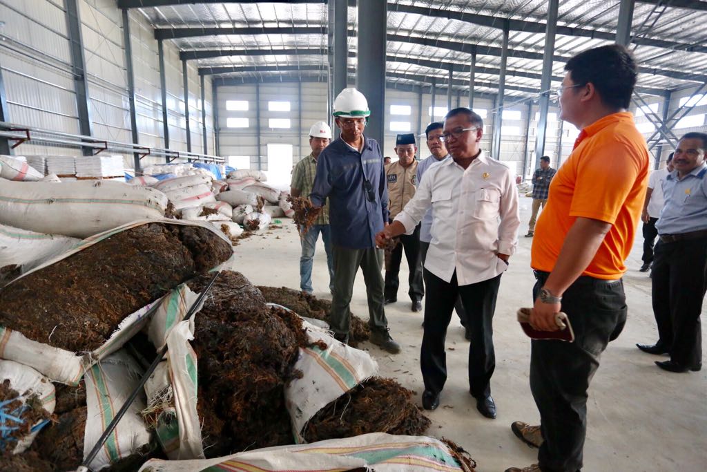 Wagub Sulsel Tinjau Dua Pabrik di Pinrang
